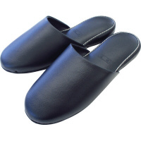 AjU[݂荞݂llCr[