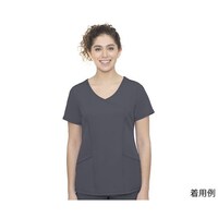 �X�N���u�g�b�v�X�@�l�����@�O���[