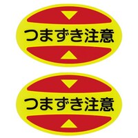 ܐpӊNXebJ[iSCpj