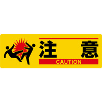 CXgW