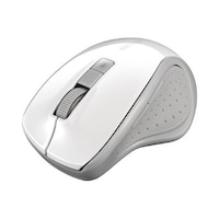 �T�{�^���@�a�����������������@�}�E�X�@�z���C�g