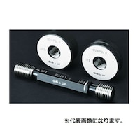 ���[�g���l�W�v���O�Q�[�W���ځ@�P�P�X�[�O�P�U�S�U�Q�T�@�˂��Q�[�W�@�P��