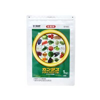 �_��@�a�`�r�e�@�J���^�X�h���C�@�t���A�u���@�P����