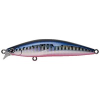 �`�l�r�@���a�n�q�m�@�V�W�e�@�}�R�C���V