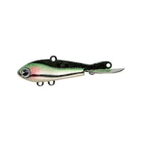 �`�l�r�@�r�v�@�R�Q�O�u�@�r���W�A���C���V