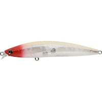 �`�l�r�@���a�n�q�m�@�X�W�e�@�N���V�J���q�g