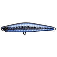 �`�l�r�@�x�n�h�b�g�h�X�X�@�k�h�f�g�s�@������