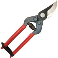 ߐ@@PXO