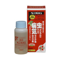 xjJw