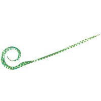 �g�a�@�l�N�^�C�@�c�C���@�L���s�J�O���[��