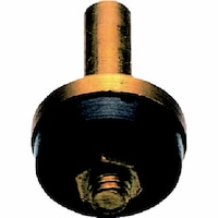 Pbv