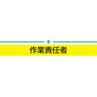 ŕ@ƐӔC