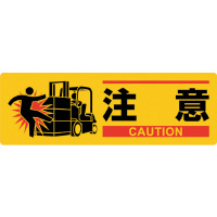 CXgW