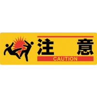 CXgW
