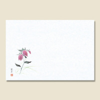 e[u}bg@mDPT@u܁@PO