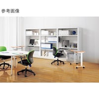 �h�s���b�N�V�X�e��