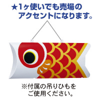 ̂ڂonoiԁj