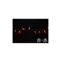 �k�d�c���~�l�[�V����