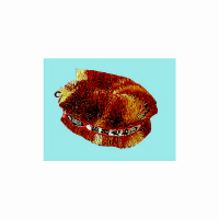 cg킵