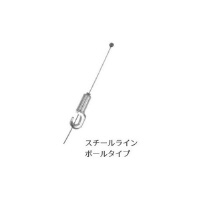 JP[N