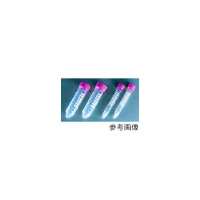 ǁ@QRQT|OPT|lxo