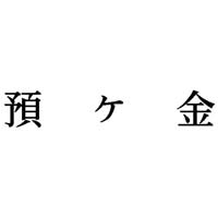 Ȗڈ@aP