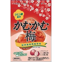賞味期限2021年3月1日保証 かむかむ梅10個