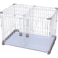 ���|���y����T�[�N�������Z�b�g�d�؂�Ȃ��@�X�O�U�@�O���[�x�[�W���@�񕝂W�V�O�~���s�T�X�O�~�����U�P�U�����@�o�|�r�r�|�X�O�U�i�Q�Q�W�S�R�T�j