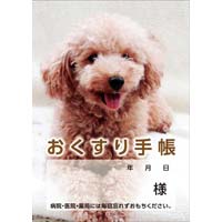 蒠@ʁ@SOo@TO