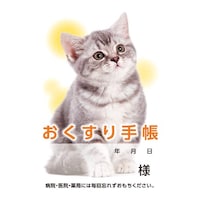 蒠@˂@SOo@TO