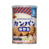 �ʓ��J���p���i�L���b�v�t�j�P�O�O���@�R�T�O�P�U�Q�@���H�^�ۑ��H�@�P�P�[�X�i�Q�S�ʓ��j