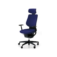 �C���O�@�N�b�V�����w�b�h�t�@�{�̍��@�[���@��p