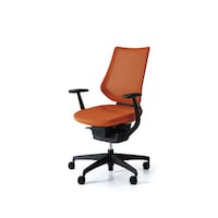 �C���O�@���b�V���o�[�`�J���@�{�̍��@��@��p