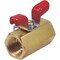 mini photo