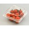 mini photo