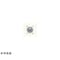 mini photo