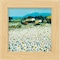 mini photo