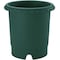 mini photo