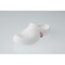 mini photo