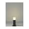 mini photo