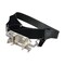 mini photo