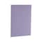 mini photo