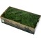 mini photo