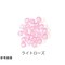 mini photo