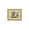mini photo