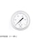 mini photo