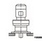 mini photo