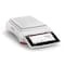 mini photo