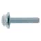 mini photo