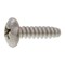 mini photo